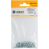 Шурупы оцинкованные, универсальные 3 х 10 (фасовка 53 шт) (20110-2)