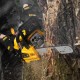 Пила цепная бензиновая DS-4516, шина 40 см, 45 см3, 2,5 л.с, шаг 0,325, паз 1,5 мм, 64 звена Denzel (95236)