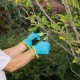 Нож садовый складной, изогнутое лезвие, 170 мм, деревянная рукоятка, Palisad (79001)