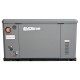 Генератор газовый EVOline GNG 19000 E