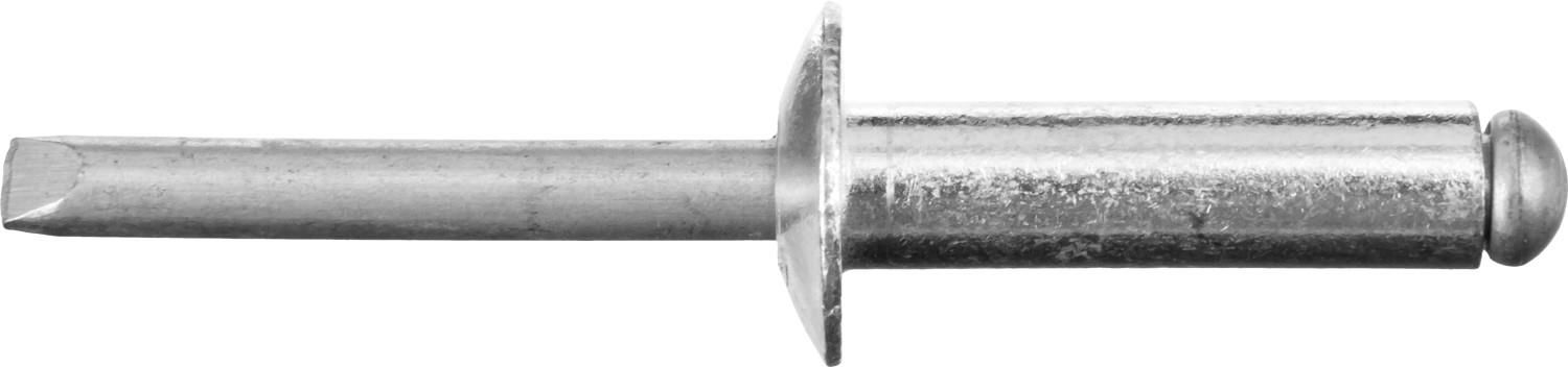 STAYER Pro-FIX, 4.8 х 20 мм, 500 шт, алюминиевые заклепки, Professional (31205-48-20)