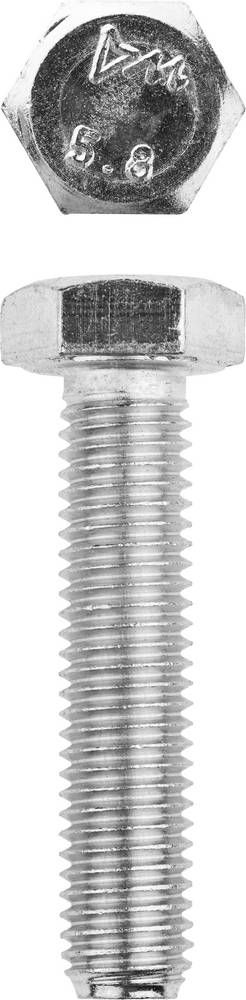 Болт M12 x 55 мм, кл. пр. 5.8, цинк, 5 кг, ГОСТ 7798-70 ЗУБР 303080-12-055