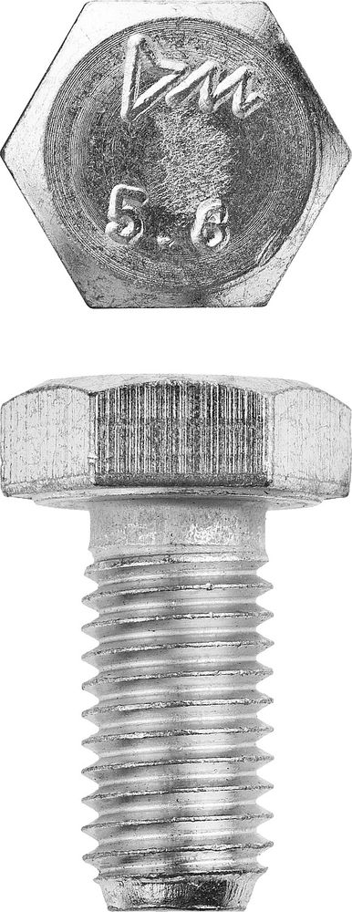 Болт M12 x 20 мм, кл. пр. 5.8, цинк, 5 кг, ГОСТ 7798-70 ЗУБР 303080-12-020